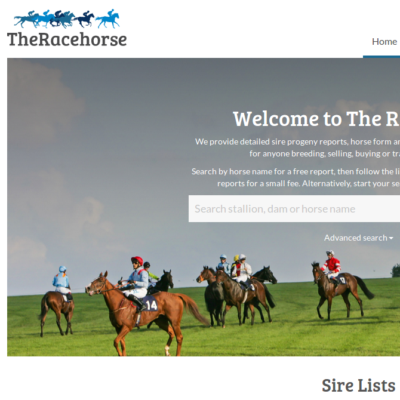 The RAcehorse - racehorse bloodstock information